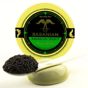 American-Bowfin-Black-Caviar-S-500x500