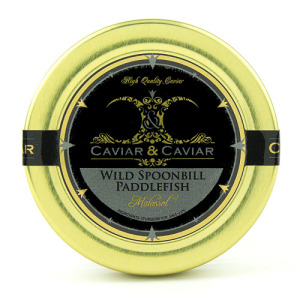 wild-american-paddlefish-caviar-500x500